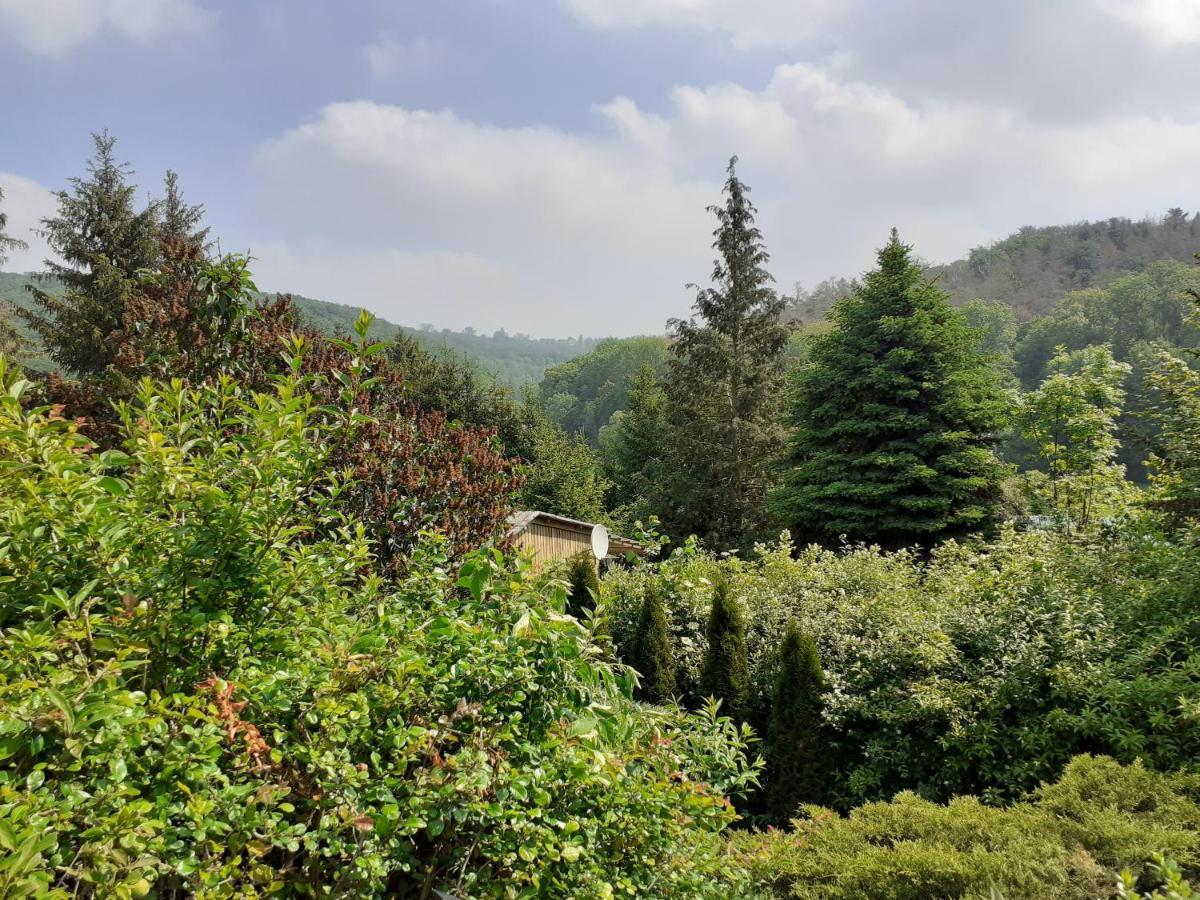 Talblick 2 - Ihr Zuhause : Das Ferienhaus Mitten Im Idyllischen Tal Bad Bibra Εξωτερικό φωτογραφία